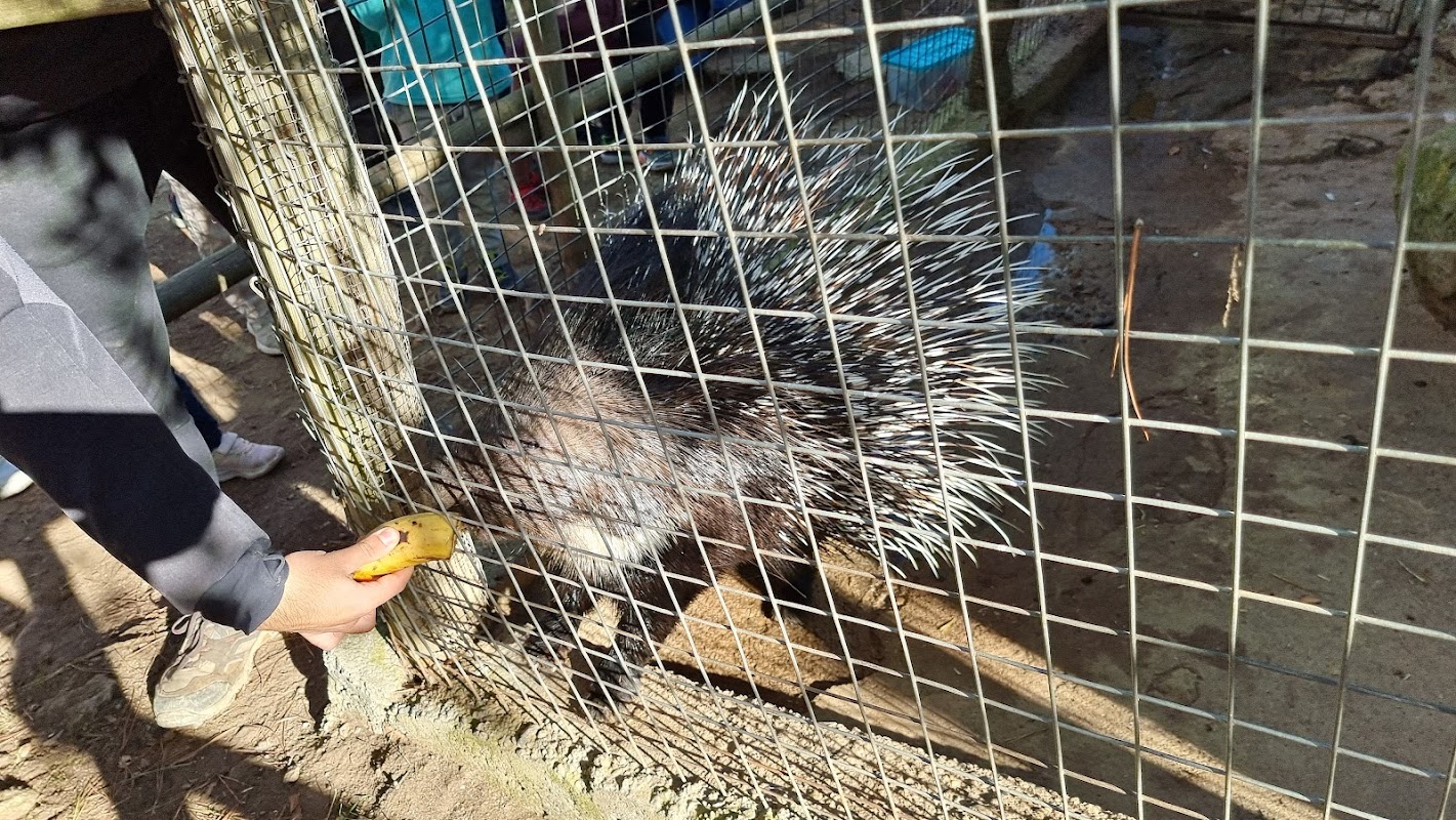 Animals a Granja Natura