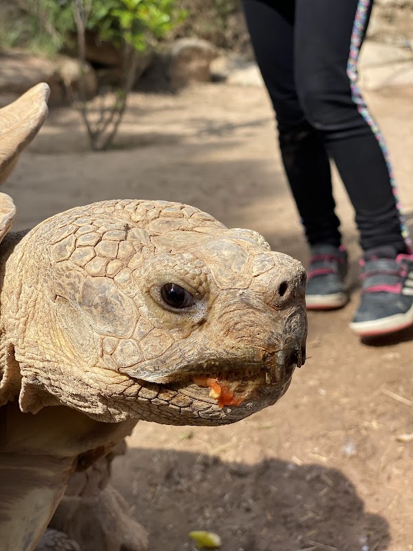 Zona de barbacoa a Granja Natura