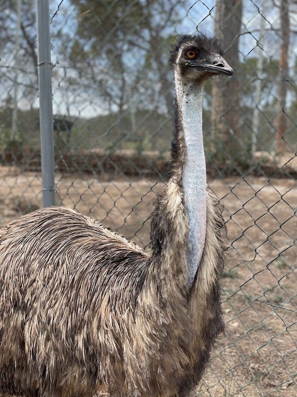 Excursions escolars educatives