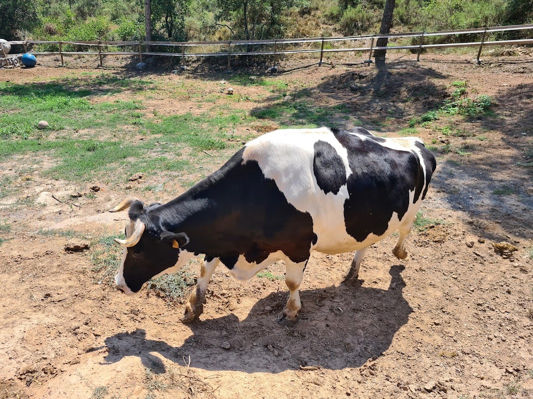 Experiència familiar a Granja Natura